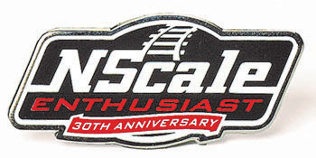 NSE 30th Pin